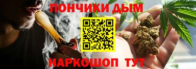 гидра Гай