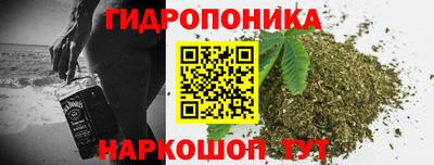 ГАЛЛЮЦИНОГЕННЫЕ ГРИБЫ Гатчина