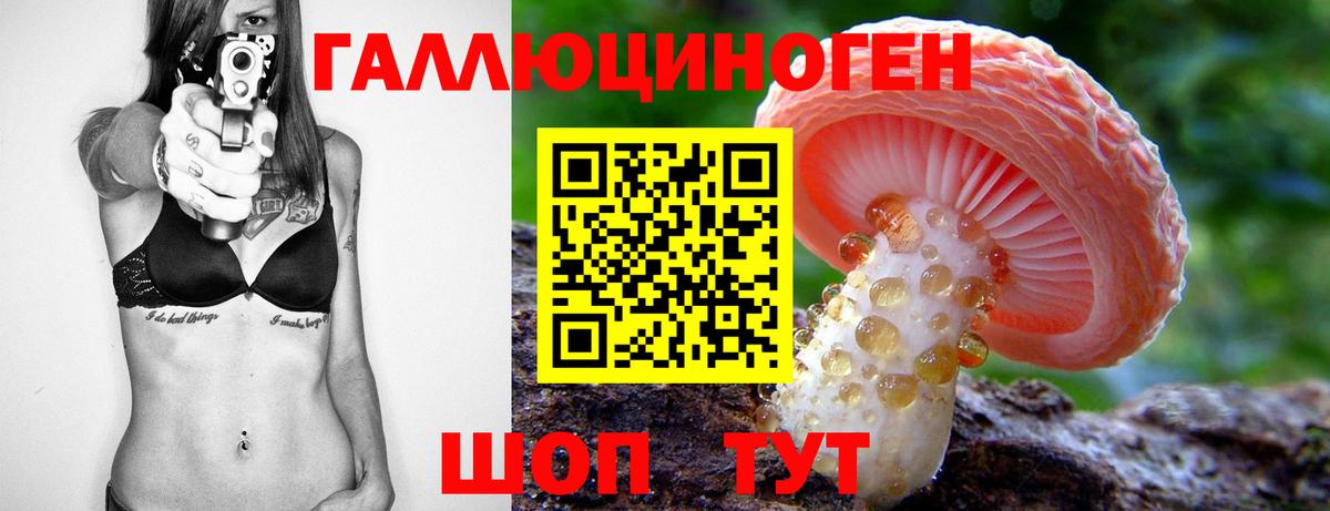 Десногорск  Галлюциногенные грибы прущие грибы  Вход с VPN 